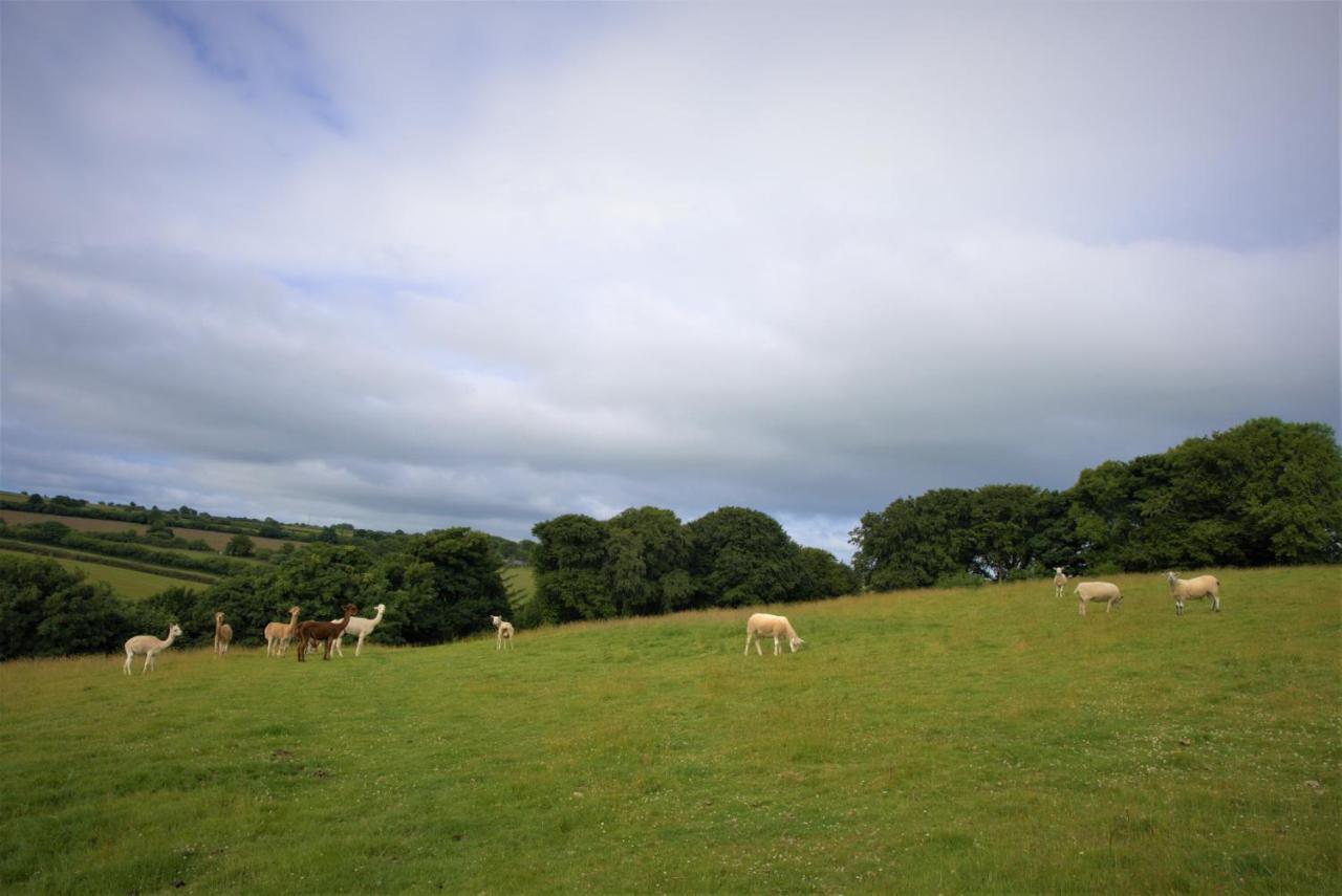 Ta Mill Cottages & Lodges - Meadowview Chalet 1 ローンソン エクステリア 写真