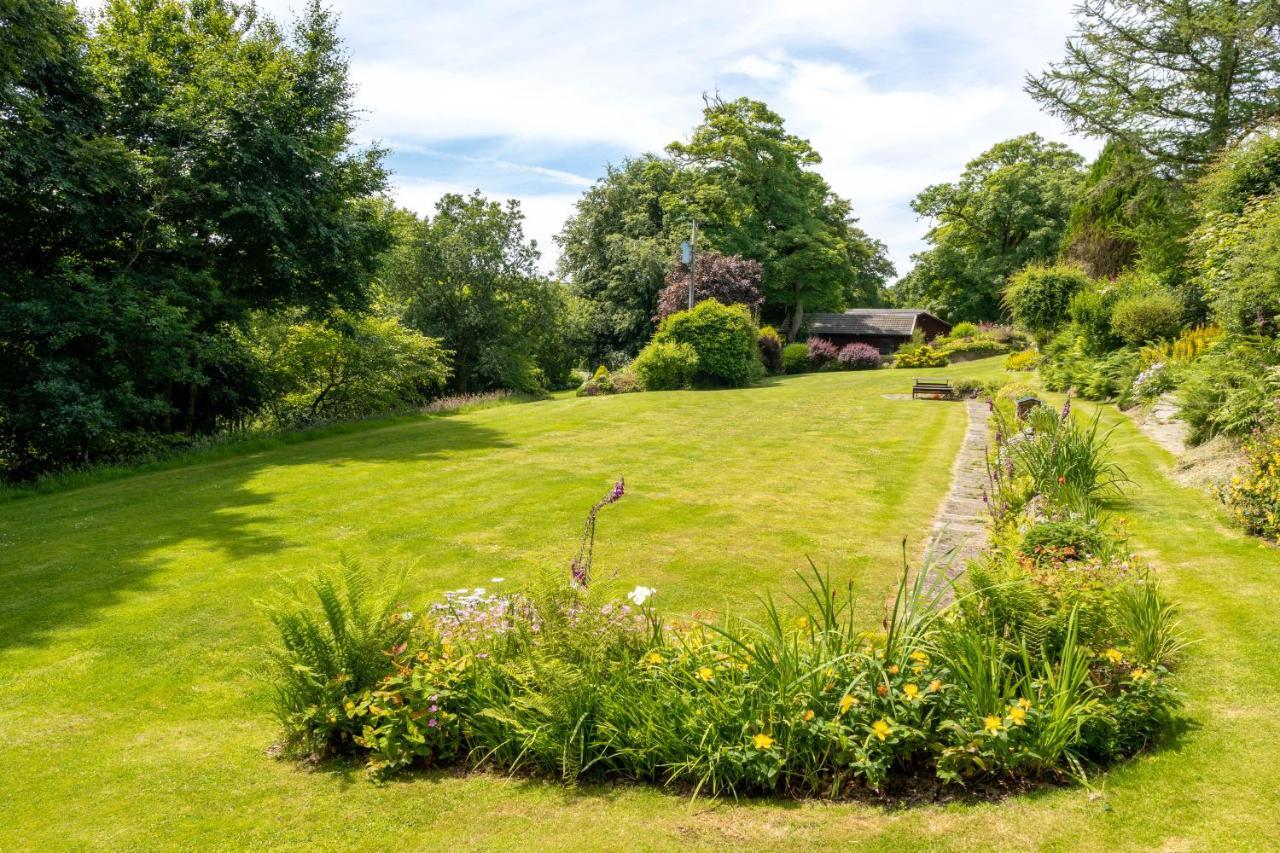 Ta Mill Cottages & Lodges - Meadowview Chalet 1 ローンソン エクステリア 写真