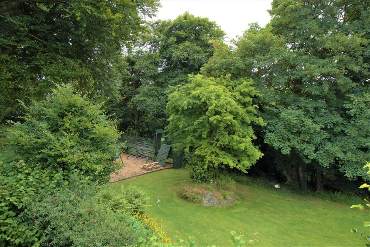 Ta Mill Cottages & Lodges - Meadowview Chalet 1 ローンソン エクステリア 写真