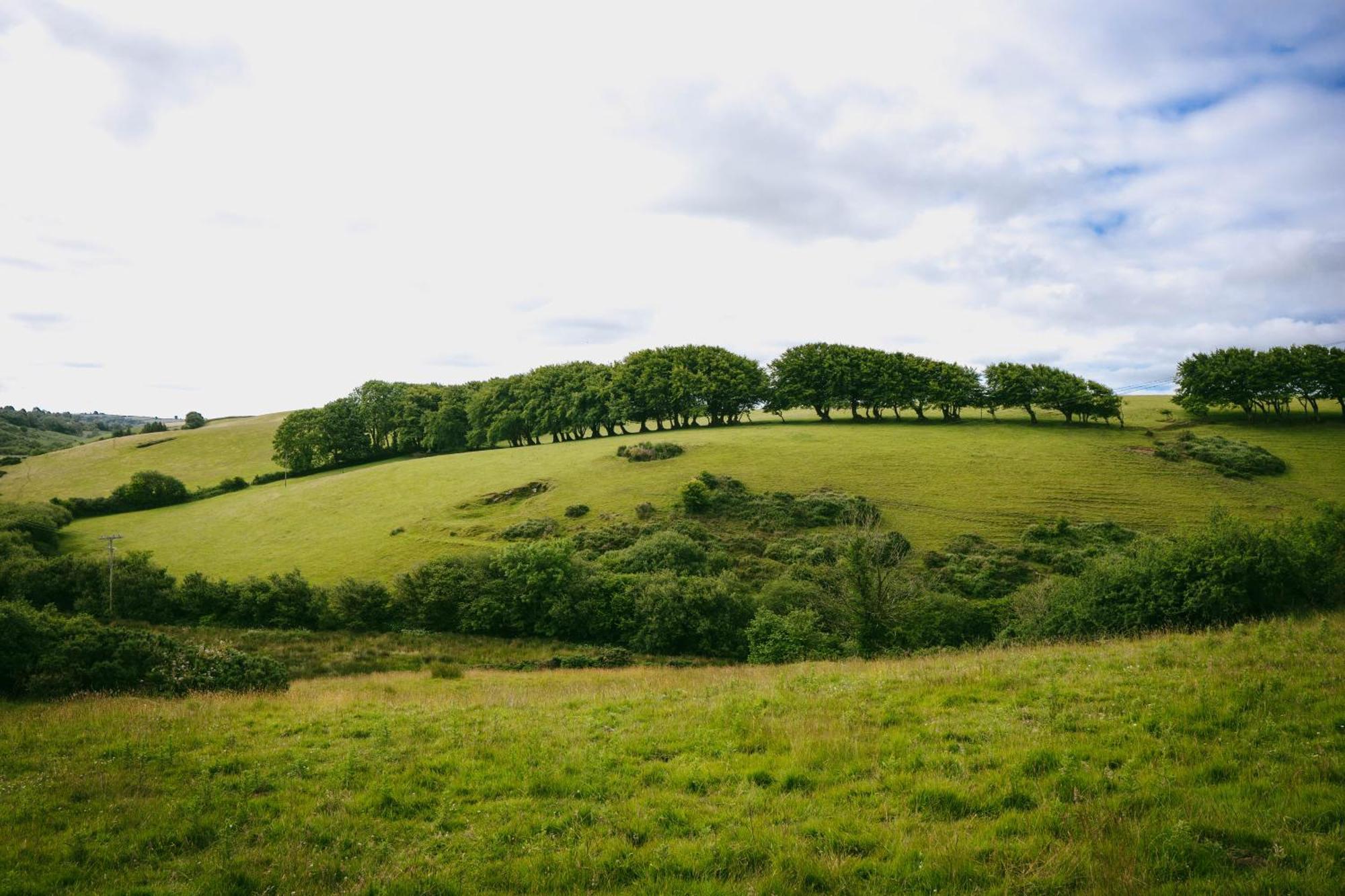 Ta Mill Cottages & Lodges - Meadowview Chalet 1 ローンソン エクステリア 写真
